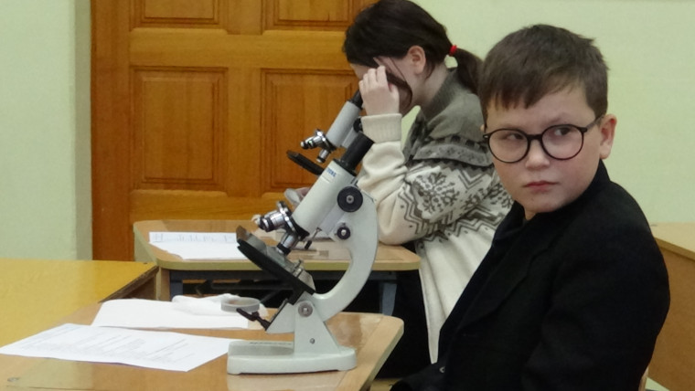 День педагогического мастерства.
